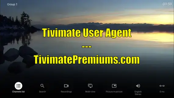 Tivimate User Agent